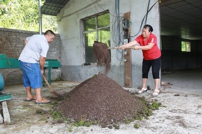 變廢為寶！劍河縣創新研發廢舊菌棒發酵生物飼料助力養殖業降本增效