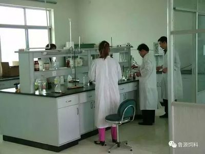《蛋雞福星》預混料 網絡直銷助力高效養殖，生物科技引領健康新篇