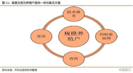 瑞普生物(300119.SZ):禽流感疫苗行業擴容,公司迎黃金發展期——兼論生物飼料研發的戰略路徑