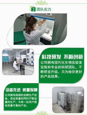 豆渣發酵飼料在雞日糧中的替代比例研究 基于生物飼料研發的視角