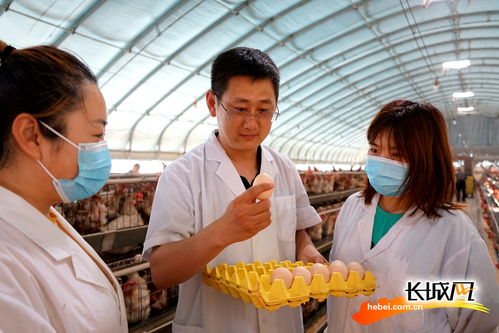 高清圖 晨光生物 打造技術和原料優勢 壯大產業鏈